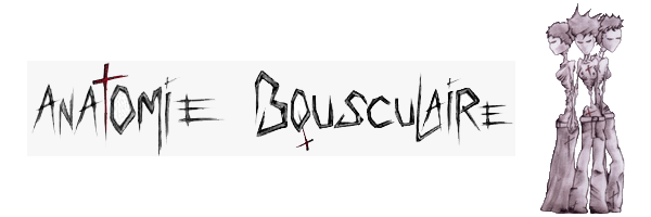 Anatomie Bousculaire
