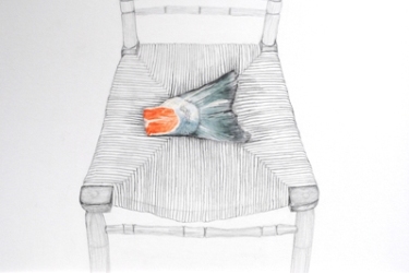 Salmon's Tail - Iona Hughes - Drawing