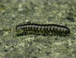 How to be a Recluse: 7 Easy Steps