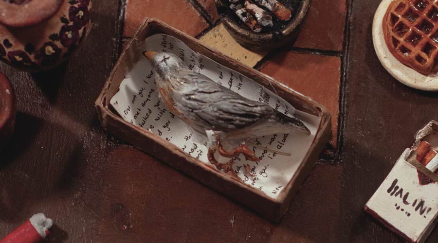 A BIRD HIT MY WINDOW AND NOW I'M A LESBIAN