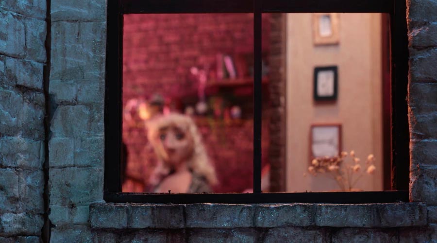 A BIRD HIT MY WINDOW AND NOW I'M A LESBIAN