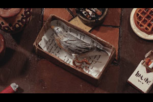 A BIRD HIT MY WINDOW AND NOW I'M A LESBIAN