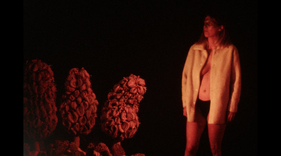 ARCHOLOGIE DU DSIR LESBIEN