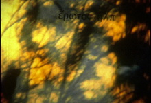 Sappho, pomes et fragments